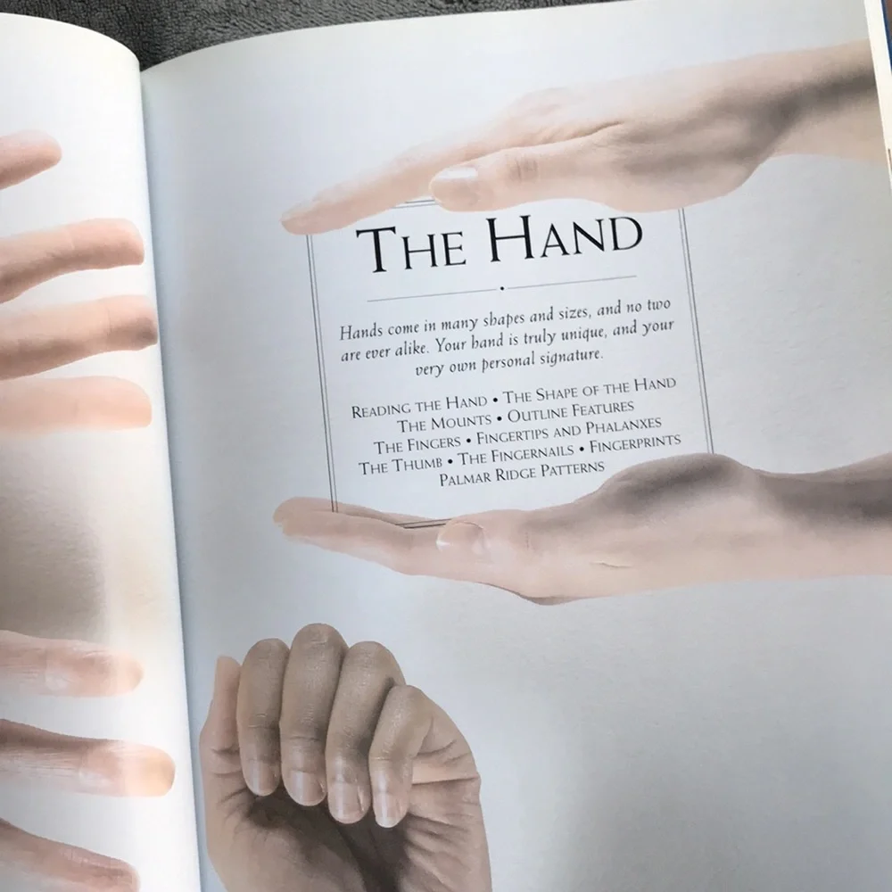 Palmistry — Lori Reid ✋✨